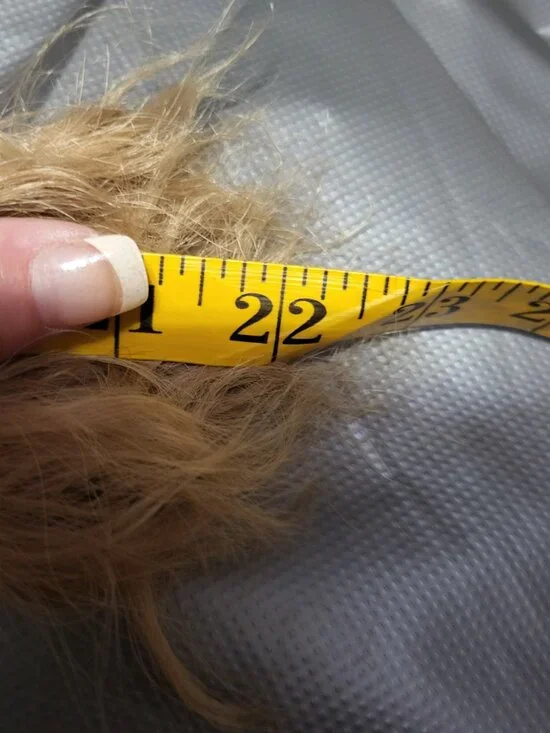 NEW BLONDE CLIP IN HAIR EXTENSIONS LENGTH 22" - Picture 4 of 4